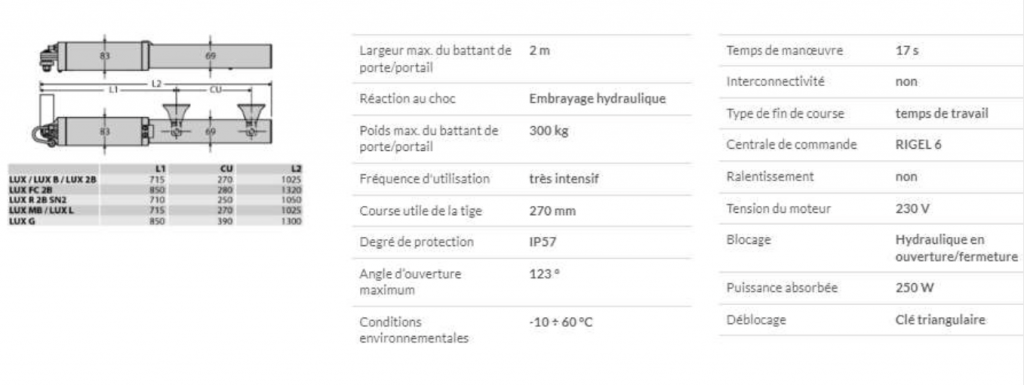 Portail en fer forgé sur mesure avec design élégant